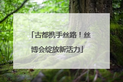 古都携手丝路！丝博会绽放新活力
