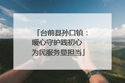 台前县孙口镇：暖心守护践初心 为民服务显担当