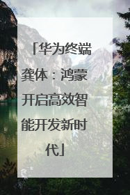 华为终端龚体：鸿蒙开启高效智能开发新时代