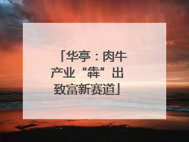 华亭：肉牛产业“犇”出致富新赛道