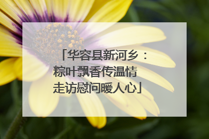 华容县新河乡：粽叶飘香传温情 走访慰问暖人心