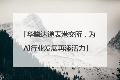 华曦达递表港交所，为AI行业发展再添活力