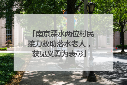 南京溧水两位村民接力救助落水老人，获见义勇为表彰