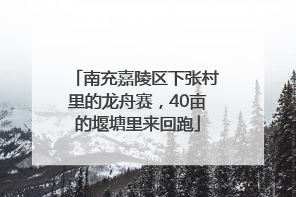 南充嘉陵区下张村里的龙舟赛，40亩的堰塘里来回跑