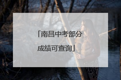 南昌中考部分成绩可查询
