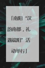 南阳“汉韵南都，礼遇端阳”活动举行