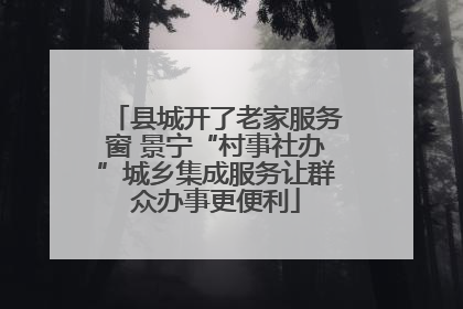 县城开了老家服务窗 景宁“村事社办”城乡集成服务让群众办事更便利