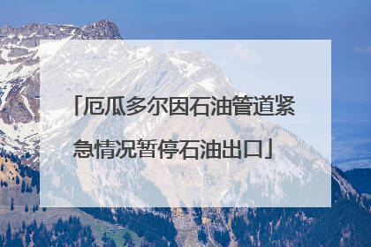 厄瓜多尔因石油管道紧急情况暂停石油出口