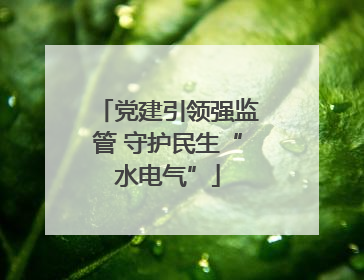 党建引领强监管 守护民生“水电气”