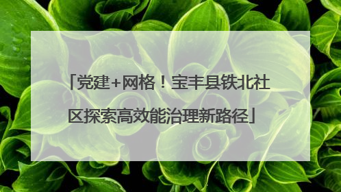 党建+网格！宝丰县铁北社区探索高效能治理新路径