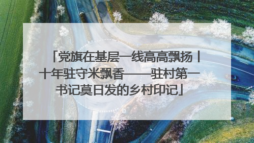 党旗在基层一线高高飘扬丨十年驻守米飘香——驻村第一书记莫日发的乡村印记