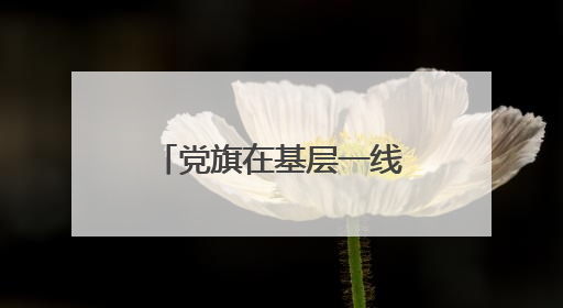 党旗在基层一线高高飘扬丨在这条英雄“含量高”的路上寻初心