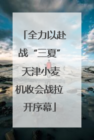全力以赴战“三夏” 天津小麦机收会战拉开序幕