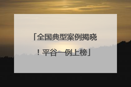 全国典型案例揭晓！平谷一例上榜