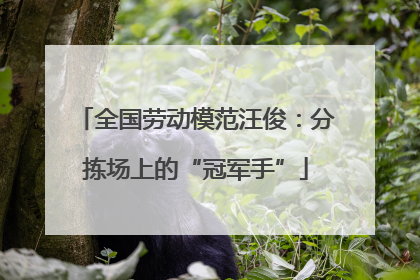 全国劳动模范汪俊：分拣场上的“冠军手”