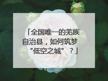 全国唯一的羌族自治县，如何筑梦“低空之城”？