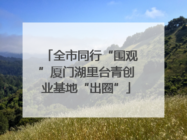 全市同行“围观”厦门湖里台青创业基地“出圈”