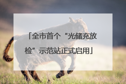 全市首个“光储充放检”示范站正式启用