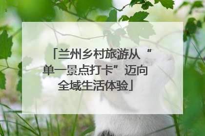 兰州乡村旅游从“单一景点打卡”迈向全域生活体验