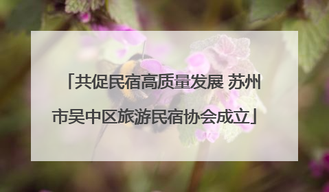共促民宿高质量发展 苏州市吴中区旅游民宿协会成立