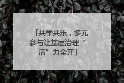 共学共乐，多元参与让基层治理“活”力全开