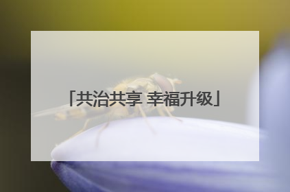 共治共享 幸福升级