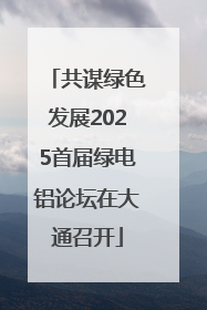 共谋绿色发展2025首届绿电铝论坛在大通召开