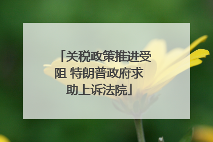 关税政策推进受阻 特朗普政府求助上诉法院