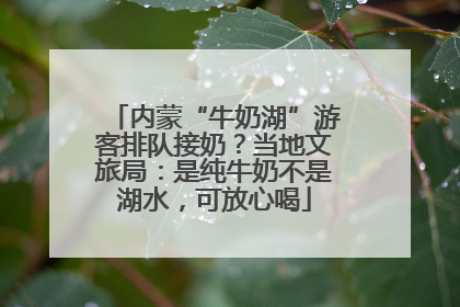 内蒙“牛奶湖”游客排队接奶？当地文旅局：是纯牛奶不是湖水，可放心喝