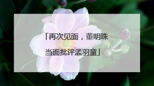 再次见面，董明珠当面批评孟羽童