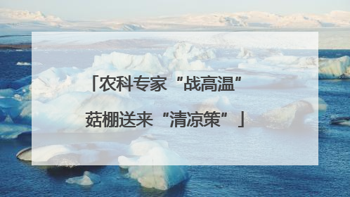 农科专家“战高温” 菇棚送来“清凉策”