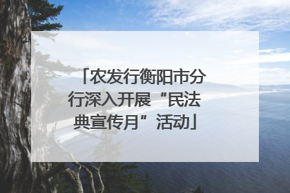 农发行衡阳市分行深入开展“民法典宣传月”活动