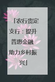 农行贵定支行：提升普惠金融 助力乡村振兴