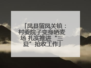 凤县留凤关镇：村委院子变身晒麦场 扎实推进“三夏”抢收工作