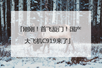 刚刚！首飞厦门！国产大飞机C919来了