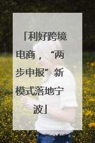 利好跨境电商，“两步申报”新模式落地宁波