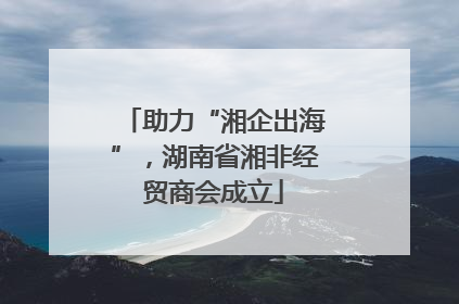 助力“湘企出海”，湖南省湘非经贸商会成立