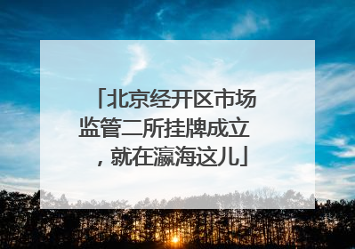 北京经开区市场监管二所挂牌成立，就在瀛海这儿