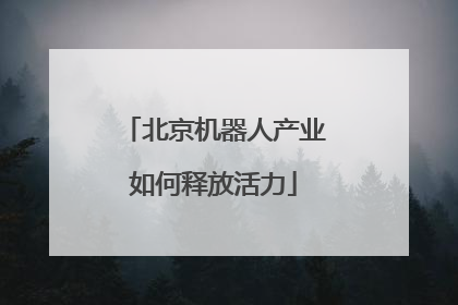 北京机器人产业如何释放活力