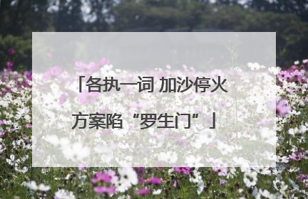 各执一词 加沙停火方案陷“罗生门”