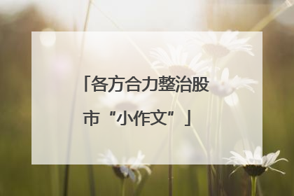 各方合力整治股市“小作文”