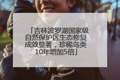 吉林波罗湖国家级自然保护区生态修复成效显著，珍稀鸟类10年增加5倍
