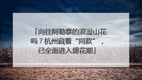 向往阿勒泰的浪漫山花吗？杭州藏着“同款”，已全面进入盛花期