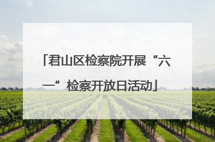 君山区检察院开展“六一”检察开放日活动