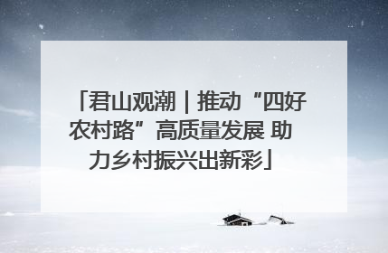 君山观潮｜推动“四好农村路”高质量发展 助力乡村振兴出新彩