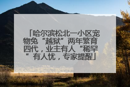 哈尔滨松北一小区宠物兔“越狱”两年繁育四代，业主有人“稀罕”有人忧，专家提醒
