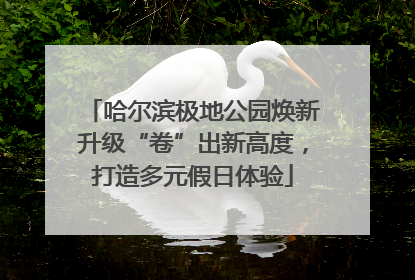 哈尔滨极地公园焕新升级“卷”出新高度，打造多元假日体验