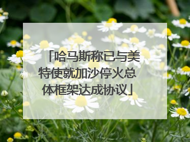 哈马斯称已与美特使就加沙停火总体框架达成协议