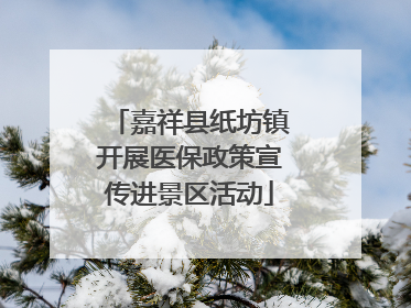 嘉祥县纸坊镇开展医保政策宣传进景区活动