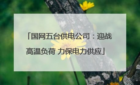 国网五台供电公司：迎战高温负荷 力保电力供应